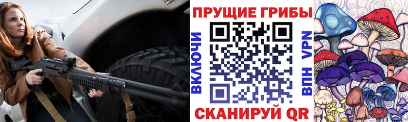 Псилоцибиновые грибы Psilocybine cubensis  shop какой сайт  Серов 